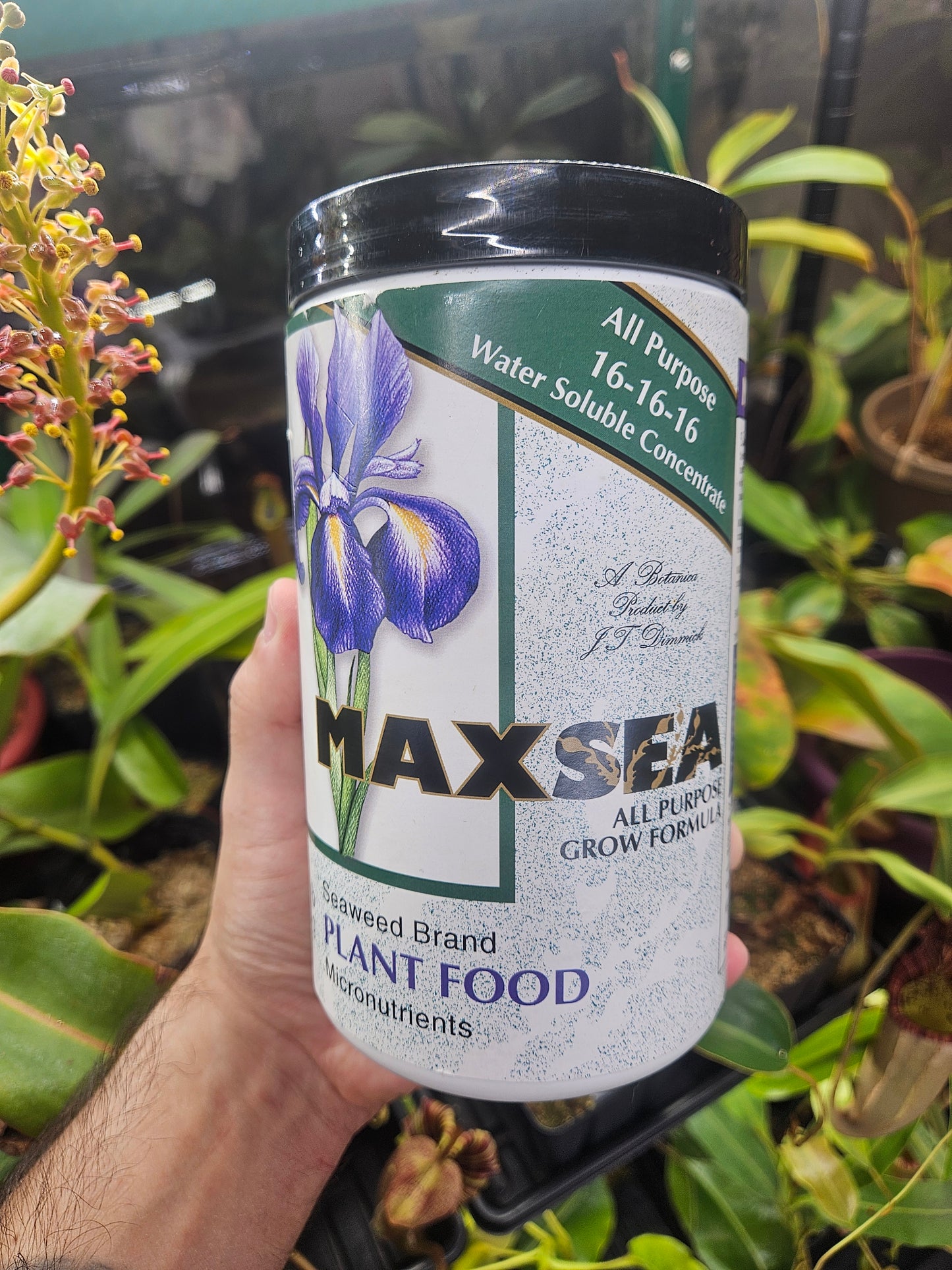 Maxsea 16-16-16 Plant Fertilizer 4T